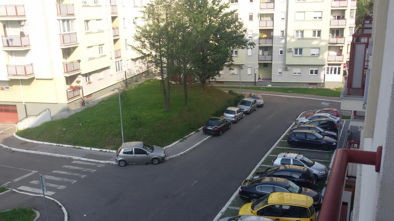 Andjela Daire Belgrad